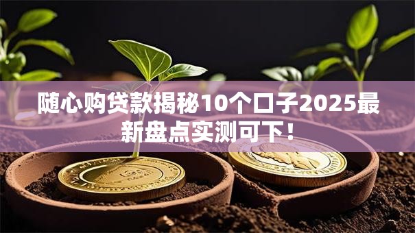 随心购贷款揭秘10个口子2025最新盘点实测可下! 随心购贷款揭秘10个口子2025最新盘点实测可下!
