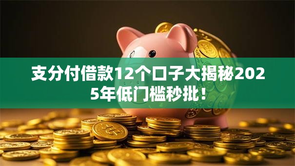 支分付借款12个口子大揭秘2025年低门槛秒批! 支分付借款12个口子大揭秘2025年低门槛秒批!