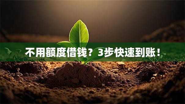 不用额度借钱?3步快速到账! 不用额度借钱?3步快速到账!