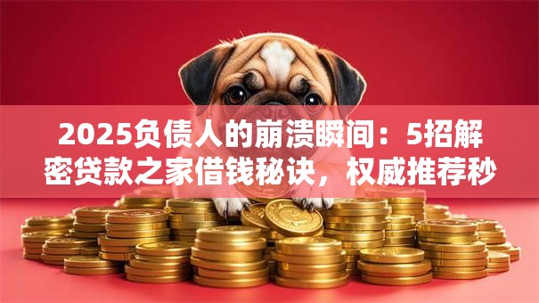 2025负债人的崩溃瞬间：5招解密贷款之家借钱秘诀，权威推荐秒批通道！