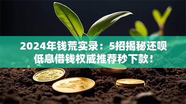 2024年钱荒实录：5招揭秘还呗低息借钱权威推荐秒下款！