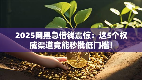 2025网黑急借钱震惊：这5个权威渠道竟能秒批低门槛！