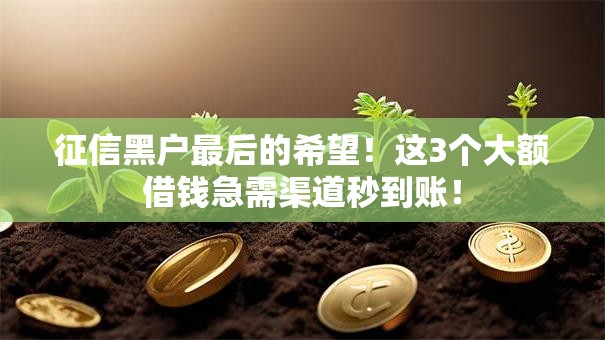 征信黑户最后的希望！这3个大额借钱急需渠道秒到账！