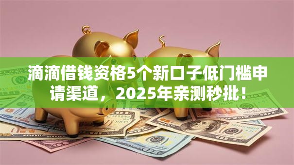 滴滴借钱资格5个新口子低门槛申请渠道，2025年亲测秒批！