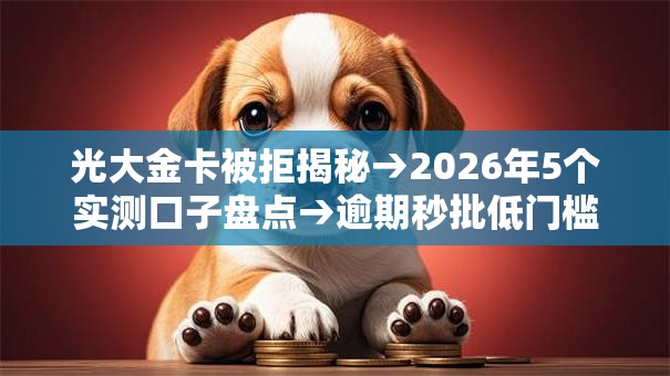 光大金卡被拒揭秘→2026年5个实测口子盘点→逾期秒批低门槛！