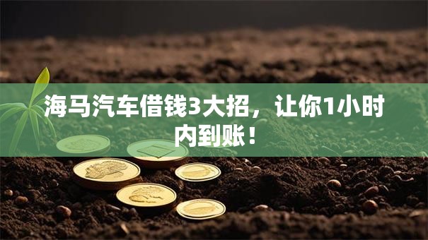 海马汽车借钱3大招，让你1小时内到账！