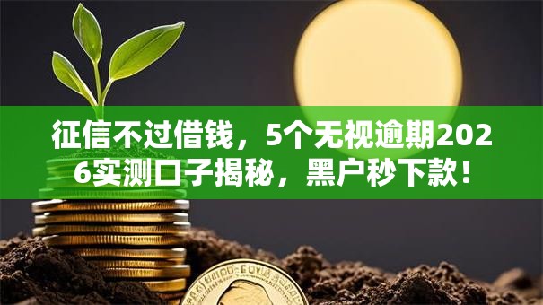 征信不过借钱，5个无视逾期2026实测口子揭秘，黑户秒下款！