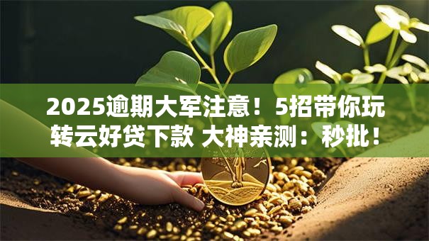 2025逾期大军注意!5招带你玩转云好贷下款 大神亲测:秒批! 2025逾期大军注意!5招带你玩转云好贷下款 大神亲测:秒批!