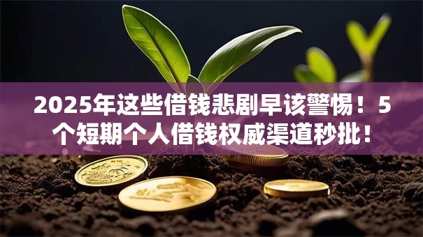 2025年这些借钱悲剧早该警惕！5个短期个人借钱权威渠道秒批！