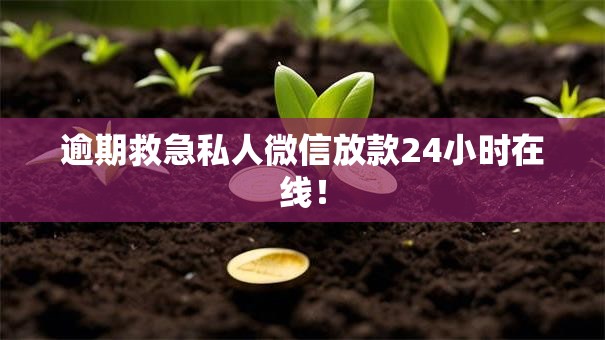 逾期救急私人微信放款24小时在线! 逾期救急私人微信放款24小时在线!