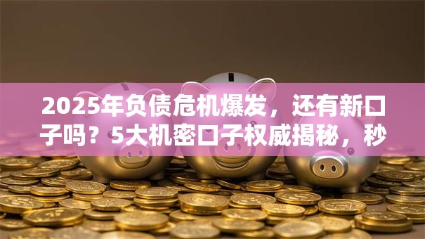 2025年负债危机爆发,还有新口子吗?5大机密口子权威揭秘,秒批到账! 2025年负债危机爆发,还有新口子吗?5大机密口子权威揭秘,秒批到账!
