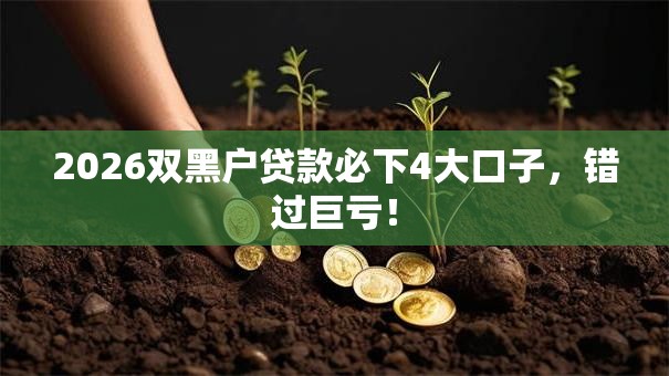 2026双黑户贷款必下4大口子,错过巨亏! 2026双黑户贷款必下4大口子,错过巨亏!