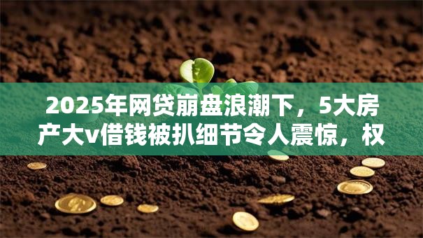 2025年网贷崩盘浪潮下,5大房产大v借钱被扒细节令人震惊,权威揭秘秒批还钱绝招! 2025年网贷崩盘浪潮下,5大房产大v借钱被扒细节令人震惊,权威揭秘秒批还钱绝招!