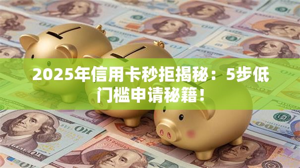 2025年信用卡秒拒揭秘：5步低门槛申请秘籍！