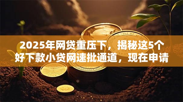 2025年网贷重压下，揭秘这5个好下款小贷网速批通道，现在申请门槛低至惊人！