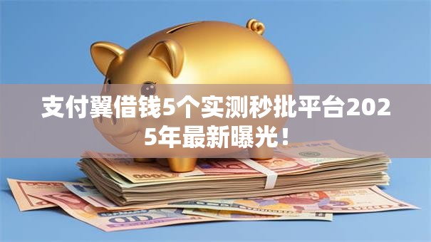 支付翼借钱5个实测秒批平台2025年最新曝光！