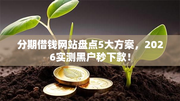 分期借钱网站盘点5大方案,2026实测黑户秒下款! 分期借钱网站盘点5大方案,2026实测黑户秒下款!