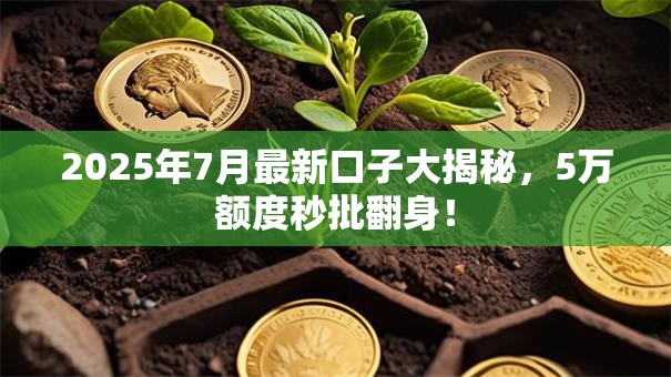 2025年7月最新口子大揭秘，5万额度秒批翻身！