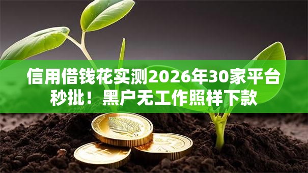 信用借钱花实测2026年30家平台秒批!黑户无工作照样下款 信用借钱花实测2026年30家平台秒批!黑户无工作照样下款