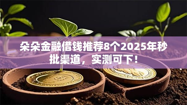 朵朵金融借钱推荐8个2025年秒批渠道,实测可下! 朵朵金融借钱推荐8个2025年秒批渠道,实测可下!