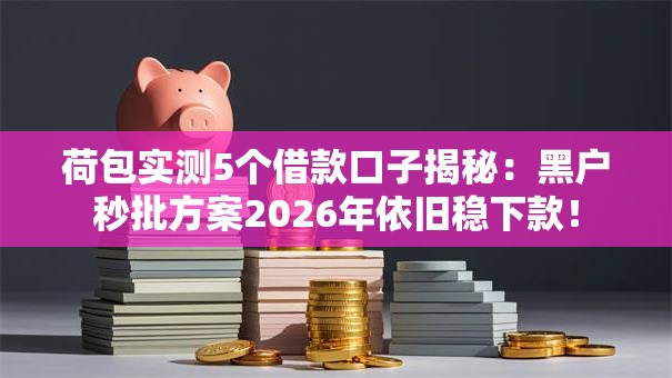 荷包实测5个借款口子揭秘：黑户秒批方案2026年依旧稳下款！
