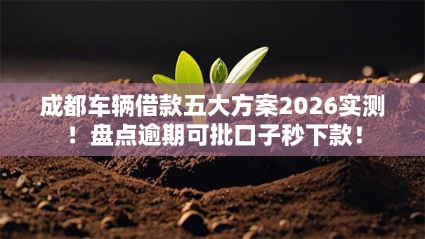 成都车辆借款五大方案2026实测！盘点逾期可批口子秒下款！