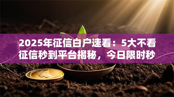 2025年征信白户速看:5大不看征信秒到平台揭秘,今日限时秒批! 2025年征信白户速看:5大不看征信秒到平台揭秘,今日限时秒批!
