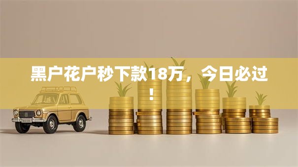 黑户花户秒下款18万，今日必过！
