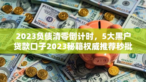 2023负债清零倒计时，5大黑户贷款口子2023秘籍权威推荐秒批！