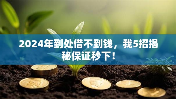 2024年到处借不到钱,我5招揭秘保证秒下! 2024年到处借不到钱,我5招揭秘保证秒下!