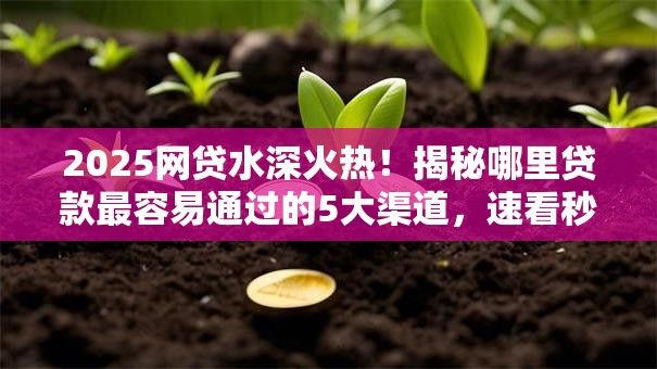 2025网贷水深火热！揭秘哪里贷款最容易通过的5大渠道，速看秒批攻略！