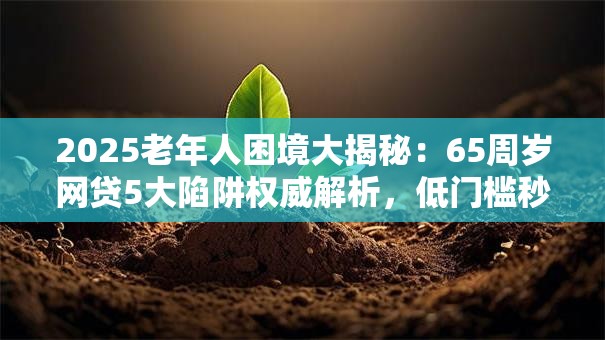 2025老年人困境大揭秘：65周岁网贷5大陷阱权威解析，低门槛秒批！
