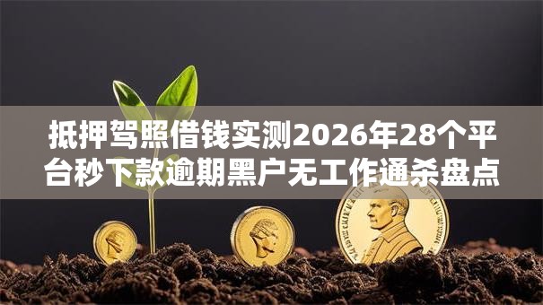 抵押驾照借钱实测2026年28个平台秒下款逾期黑户无工作通杀盘点 抵押驾照借钱实测2026年28个平台秒下款逾期黑户无工作通杀盘点
