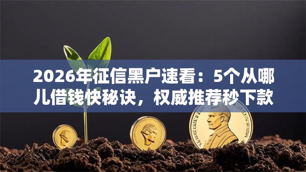 2026年征信黑户速看:5个从哪儿借钱快秘诀,权威推荐秒下款! 2026年征信黑户速看:5个从哪儿借钱快秘诀,权威推荐秒下款!