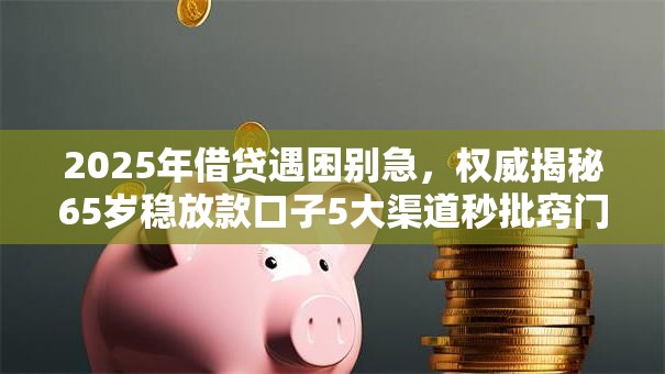 2025年借贷遇困别急，权威揭秘65岁稳放款口子5大渠道秒批窍门！