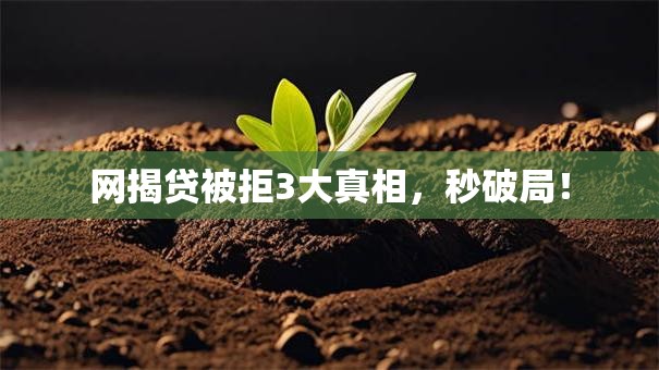 网揭贷被拒3大真相，秒破局！
