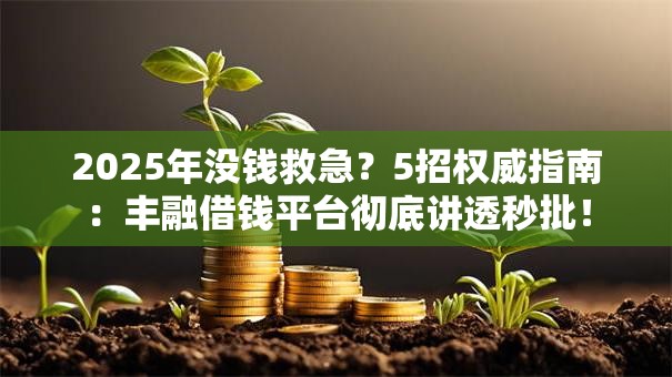 2025年没钱救急？5招权威指南：丰融借钱平台彻底讲透秒批！