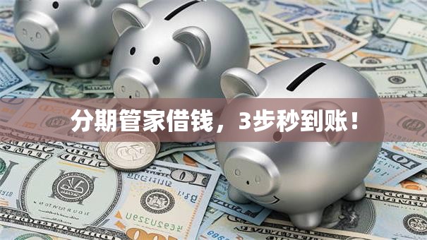 分期管家借钱，3步秒到账！