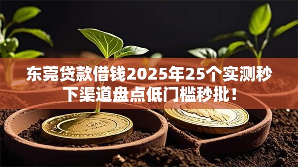 东莞贷款借钱2025年25个实测秒下渠道盘点低门槛秒批！