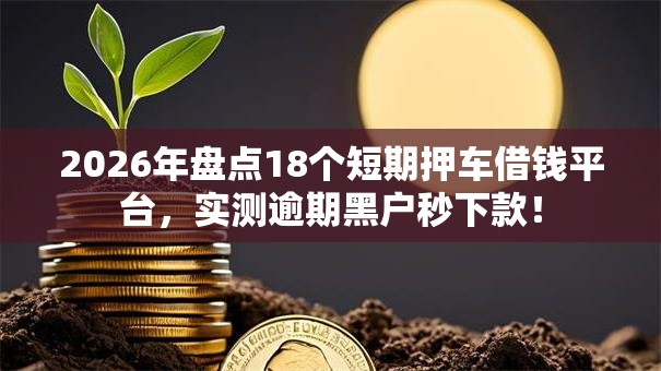2026年盘点18个短期押车借钱平台，实测逾期黑户秒下款！