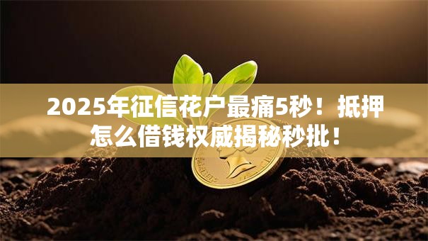 2025年征信花户最痛5秒!抵押怎么借钱权威揭秘秒批! 2025年征信花户最痛5秒!抵押怎么借钱权威揭秘秒批!