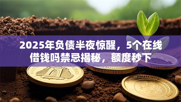 2025年负债半夜惊醒,5个在线借钱吗禁忌揭秘,额度秒下 2025年负债半夜惊醒,5个在线借钱吗禁忌揭秘,额度秒下