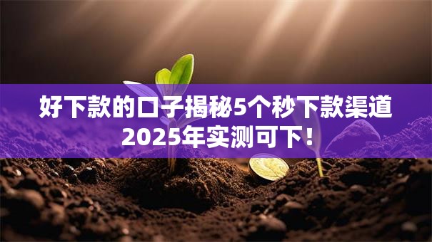 好下款的口子揭秘5个秒下款渠道2025年实测可下！
