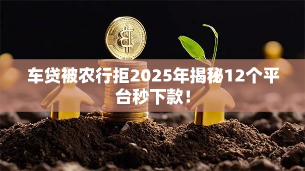 车贷被农行拒2025年揭秘12个平台秒下款! 车贷被农行拒2025年揭秘12个平台秒下款!