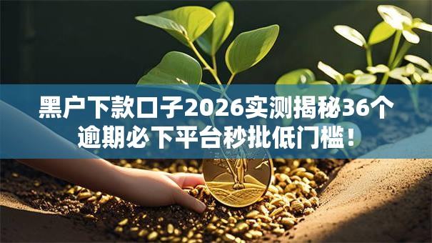 黑户下款口子2026实测揭秘36个逾期必下平台秒批低门槛! 黑户下款口子2026实测揭秘36个逾期必下平台秒批低门槛!