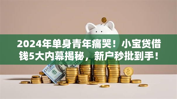 2024年单身青年痛哭！小宝贷借钱5大内幕揭秘，新户秒批到手！