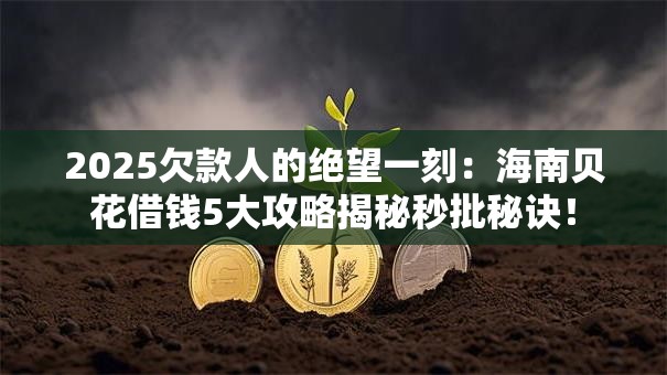 2025欠款人的绝望一刻:海南贝花借钱5大攻略揭秘秒批秘诀! 2025欠款人的绝望一刻:海南贝花借钱5大攻略揭秘秒批秘诀!