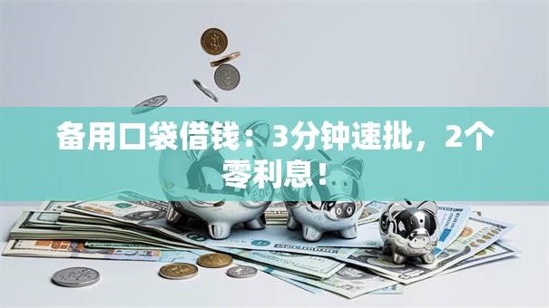 备用口袋借钱:3分钟速批,2个零利息! 备用口袋借钱:3分钟速批,2个零利息!