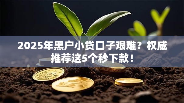 2025年黑户小贷口子艰难?权威推荐这5个秒下款! 2025年黑户小贷口子艰难?权威推荐这5个秒下款!