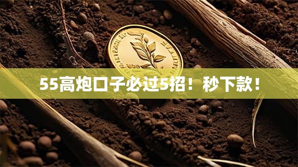 55高炮口子必过5招!秒下款! 55高炮口子必过5招!秒下款!